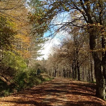 La Casina Di Lonnano Casa vacanze *