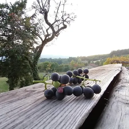 La Casina Di Lonnano *
